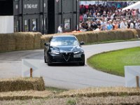 DSC 5748 : Goodwood Festival of Speed 2016 Dad Luke