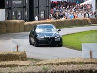 DSC 5749 : Goodwood Festival of Speed 2016 Dad Luke