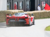 DSC 5761 : Goodwood Festival of Speed 2016 Dad Luke