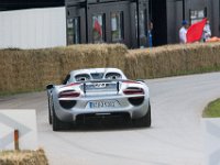 DSC 5763 : Goodwood Festival of Speed 2016 Dad Luke