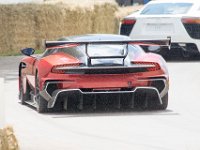 DSC 5764 : Goodwood Festival of Speed 2016 Dad Luke