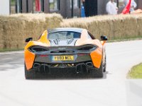 DSC 5766 : Goodwood Festival of Speed 2016 Dad Luke