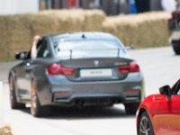 DSC 5767 : Goodwood Festival of Speed 2016 Dad Luke