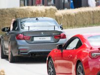 DSC 5768 : Goodwood Festival of Speed 2016 Dad Luke