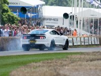 DSC 5771 : Goodwood Festival of Speed 2016 Dad Luke