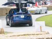 DSC 5772 : Goodwood Festival of Speed 2016 Dad Luke