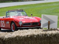 DSC 5773 : Goodwood Festival of Speed 2016 Dad Luke