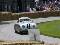 DSC 5776 : Goodwood Festival of Speed 2016 Dad Luke