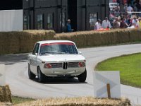 DSC 5780 : Goodwood Festival of Speed 2016 Dad Luke