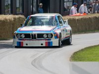 DSC 5787 : Goodwood Festival of Speed 2016 Dad Luke