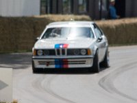 DSC 5796 : Goodwood Festival of Speed 2016 Dad Luke