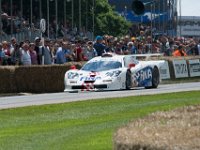 DSC 5820 : Goodwood Festival of Speed 2016 Dad Luke