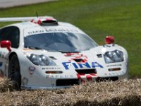 DSC 5832 : Goodwood Festival of Speed 2016 Dad Luke