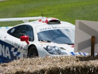 DSC 5833 : Goodwood Festival of Speed 2016 Dad Luke
