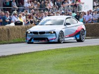 DSC 5859 : Goodwood Festival of Speed 2016 Dad Luke