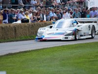 DSC 5867 : Goodwood Festival of Speed 2016 Dad Luke
