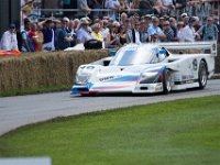 DSC 5868 : Goodwood Festival of Speed 2016 Dad Luke