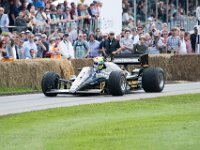 DSC 5912 : Goodwood Festival of Speed 2016 Dad Luke