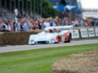 DSC 5927 : Goodwood Festival of Speed 2016 Dad Luke