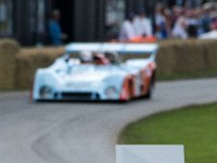 DSC 5928 : Goodwood Festival of Speed 2016 Dad Luke