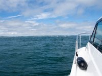 DSC 6304 : Poole