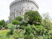 DSC 6238 : Windsor Castle
