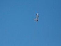 DSC 4697 : Sun N Fun Air Show