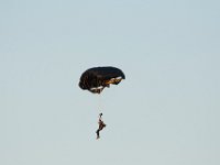DSC 5498 : Sun N Fun Air Show
