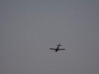 DSC 5550 : Sun N Fun Air Show