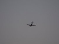 DSC 5551 : Sun N Fun Air Show