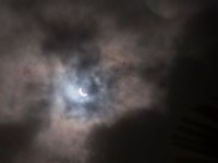 DSC 5037 : Solar Eclipse 8-21-17
