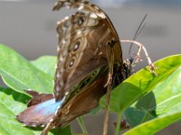 DSC 7590