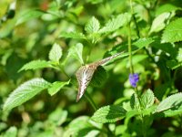 DSC 4326