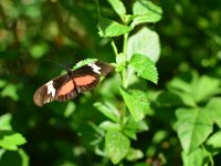 DSC 4361