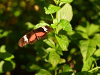 DSC 4362