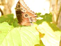 DSC 4368