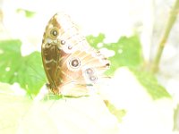 DSC 4370