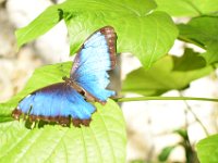 DSC 4372