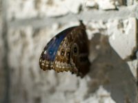 DSC 4412