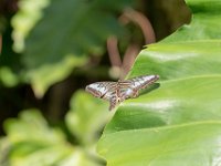DSC 7519