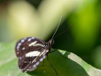 DSC 7538