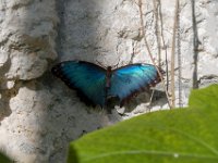 DSC 7611