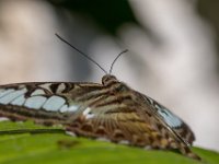 DSC 7615