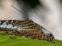 DSC 7616