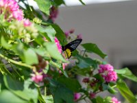 DSC 7620