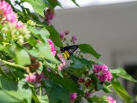 DSC 7622
