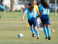DSC 3339 : Ella Soccer Match