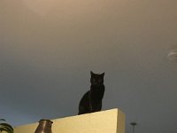 IMG 3666