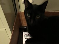 IMG 3679