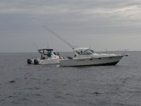 DSC 0784